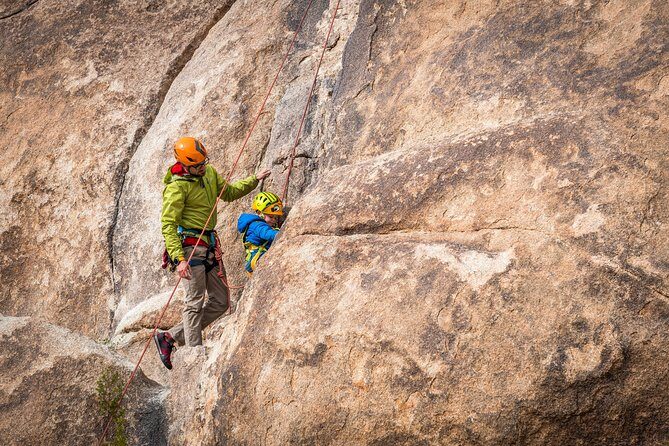 Family Rock Climbing Trips in Joshua Tree National Park (4 Hours) - The Highlighted Benefits of the Tour