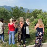 Family-run Vineyard Tour & Award Winning Wine Tasting/Delicacies - The Wine Cellar Experience