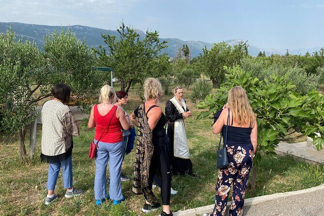 Family-run Vineyard Tour & Award Winning Wine Tasting/Delicacies - The Wine Cellar Experience