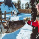 Family Snow Fun with Huskies, Reindeer, Mini Scooters, Lunch - Additional Practical Details