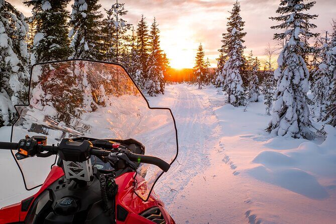 Family Snowmobile Safari in Rovaniemi - The Experience that Sets It Apart