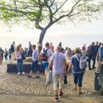 Family tour Madeira Island - What to Expect on the Day