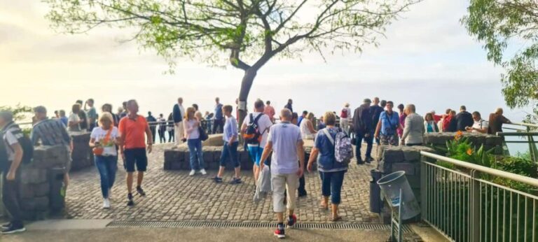 Family tour Madeira Island - What to Expect on the Day