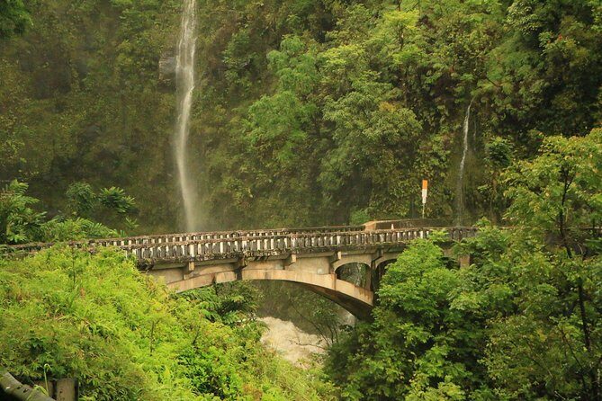 Famous Road to Hana Waterfalls and Lunch by Mercedes Van - Who Is This Tour Best Suited For?