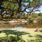 Fanal Assobiadores Trail - The Itinerary in Detail