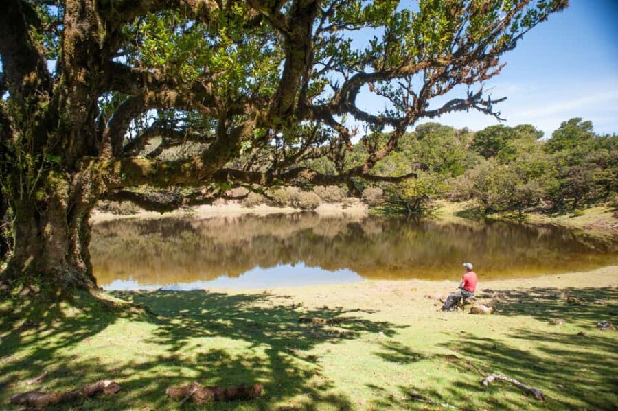 Fanal Assobiadores Trail - The Itinerary in Detail