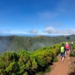 Fanal Forest Walk & Meal - What to Expect During the Walk