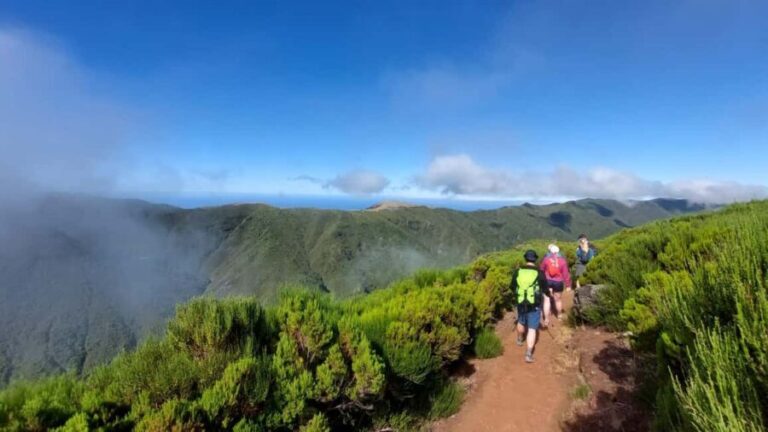 Fanal Forest Walk & Meal - What to Expect During the Walk