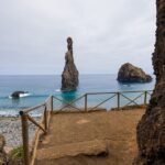 Fanal & Porto Moniz - West Madeira Tour - Practical Details and Considerations