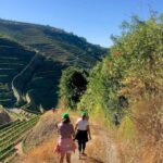 Fancy Douro from Porto - private walk + lunch + wines - Is It Worth the Price?
