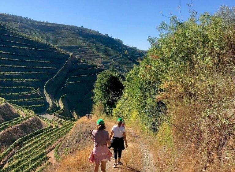 Fancy Douro from Porto - private walk + lunch + wines - Is It Worth the Price?