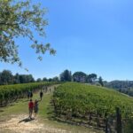 Farm To table Experience on an organic hilltop estate in Tuscany - Who Is This Tour Best For?