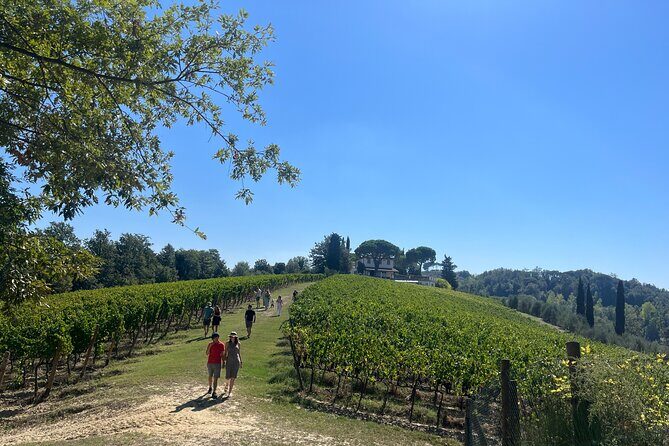 Farm To table Experience on an organic hilltop estate in Tuscany - Who Is This Tour Best For?