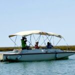 Faro: Ria Formosa Boat Tour by Eco-Friendly Solar Boat - The Itinerary in Detail