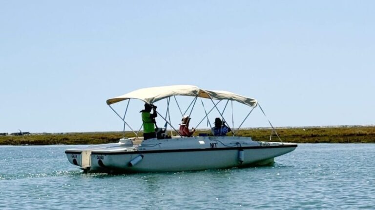Faro: Ria Formosa Boat Tour by Eco-Friendly Solar Boat - The Itinerary in Detail
