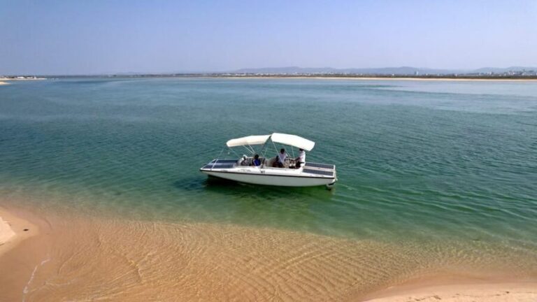 Faro: Ria Formosa Eco Birdwatching Boat Tour - Who Is This Tour Best For?
