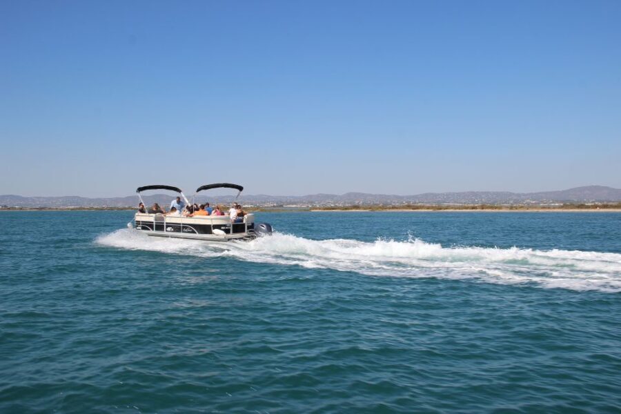 Faro: Ria Formosa Lagoon Small Boat Tour with Local Guide - The Value and Overall Impression
