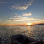 Faro: Sunset 1 hour Ria Formosa Boat Tour - The Experience from Travelers’ Perspectives