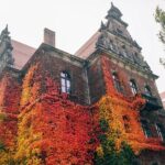 Fascinating Highlights of Wroclaw - Walking Tour - Who Should Consider This Tour?