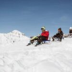 Fast-paced fun  tobogganing on the VogellisiBerg - Who is This Experience Best For?