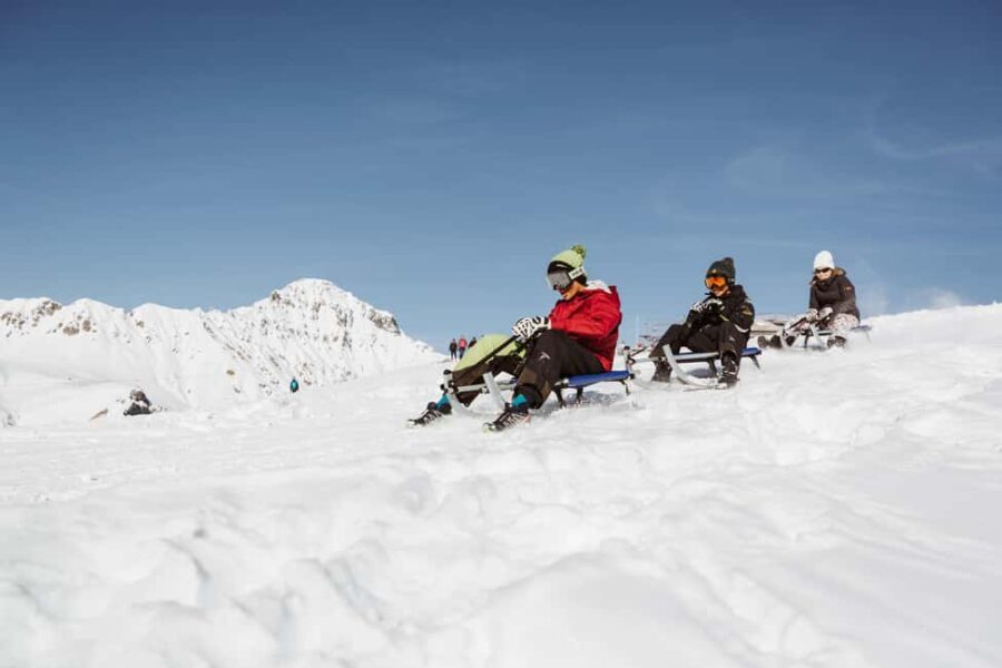 Fast-paced fun  tobogganing on the VogellisiBerg - Who is This Experience Best For?