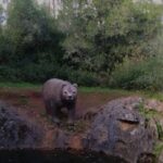 Fátima: Caves & Tradition E-bike Tour - Detailed Breakdown of the Itinerary