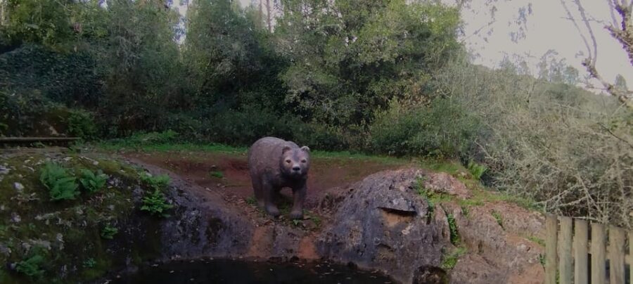 Fátima: Caves & Tradition E-bike Tour - Detailed Breakdown of the Itinerary