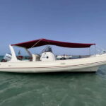 Favignana and Levanzo Island: Swim, Snorkeling and Lunch - The Practical Side