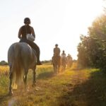 Fazana: Sunset 1-hour Horse Riding in Nature with Guide - Who Will Love This Experience?