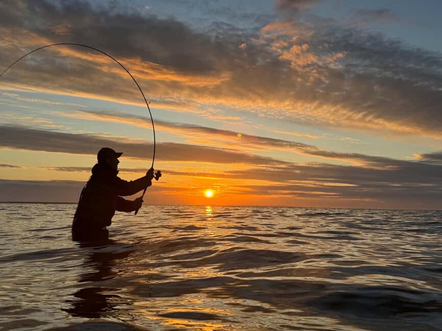 Fehmarn Heiligenhafen: Sea fishing tour with a small group - Final Thoughts