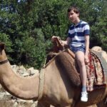 Fethiye Camel Riding at Gosht Town - Price and Value: Is it Worth It?