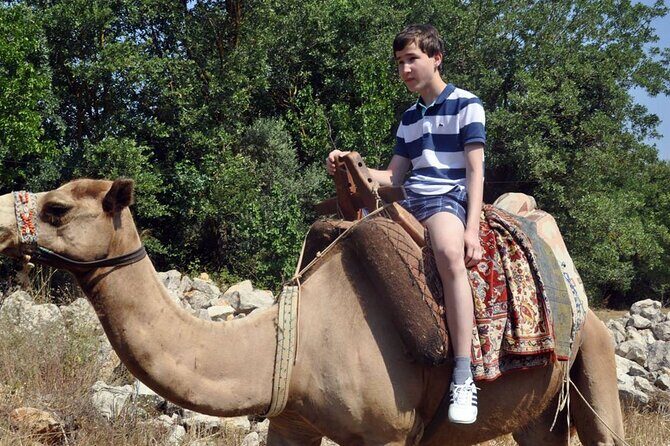 Fethiye Camel Riding at Gosht Town - Price and Value: Is it Worth It?