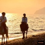 Fethiye Horse Riding in the Sea, Botanical Forest, Beach and Coastal Horseback Riding - What to Expect on the Trail