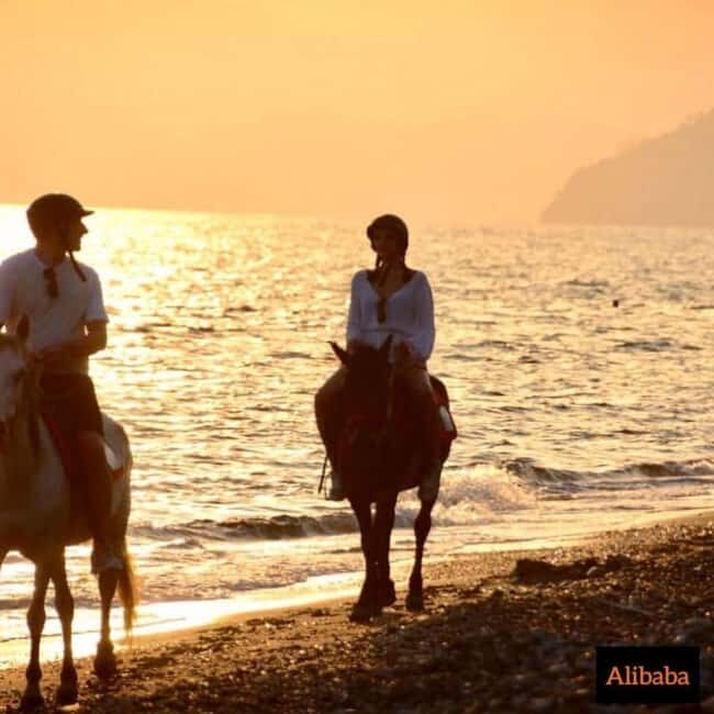 Fethiye Horse Riding in the Sea, Botanical Forest, Beach and Coastal Horseback Riding - What to Expect on the Trail