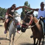 Fethiye Horse Safari - What to Expect from the Fethiye Horse Safari