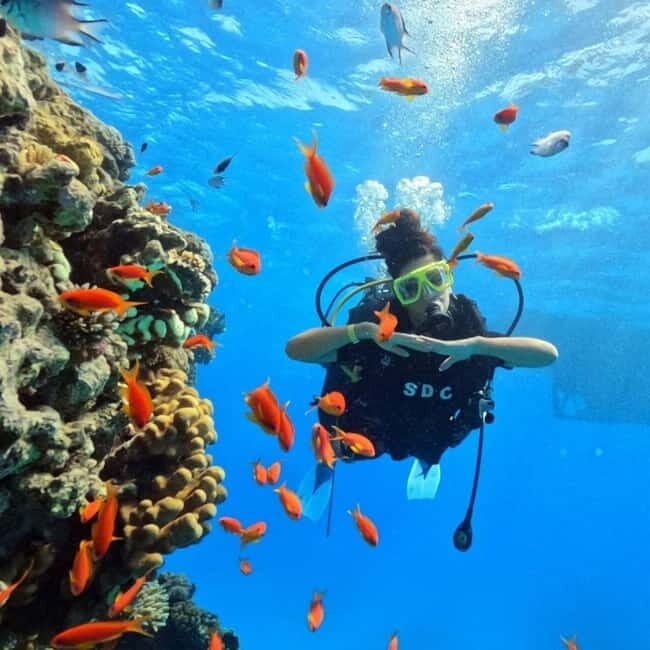 Fethiye Scuba Diving Tour: Free Shuttle Service - Lunch Included - Who Should Consider This Tour?