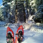 Fichtelgebirge: snowshoe hike - Who Is This Tour Best For?