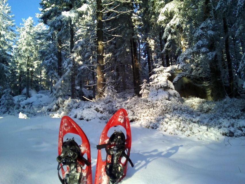 Fichtelgebirge: snowshoe hike - Who Is This Tour Best For?