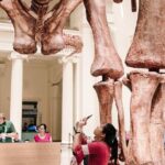 Field Museum of Natural History Admission Tickets - Frequently Asked Questions