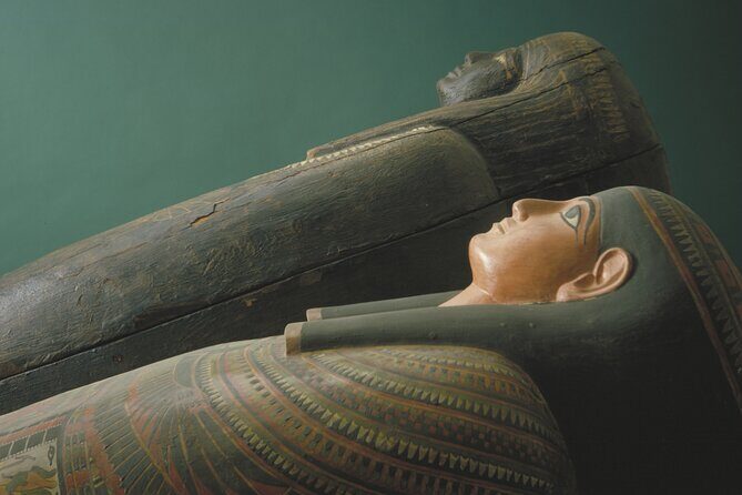 Field Museum of Natural History Early Access Ticket - In-Depth Review of the Experience