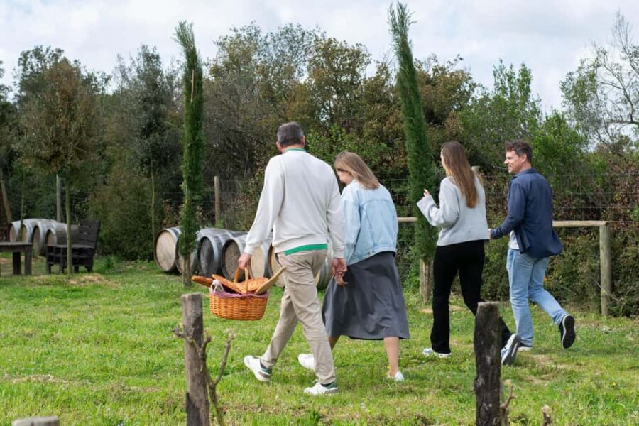 Figueres: Wine Tasting & Picnic with Artisan Products - Practical Aspects and What They Mean for You