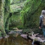 Find a hidden Glen in Scotland's woods - Is it Good Value?
