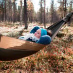 Finland Levi: Arctic Cocooning Experience in HaliPuu Forest - What’s Included and Practicalities