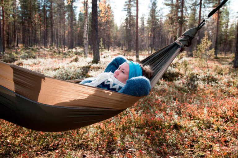 Finland Levi: Arctic Cocooning Experience in HaliPuu Forest - What’s Included and Practicalities