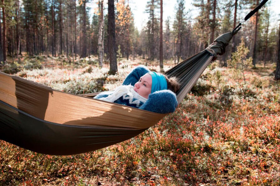 Finland Levi: Arctic Cocooning Experience in HaliPuu Forest - What’s Included and Practicalities