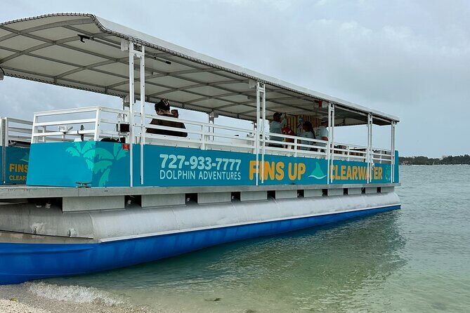 Fins Up - Dolphin & Island Sandbar Adventure in Clearwater Beach - The Experience in Practice