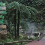 Fire Lake & Tea Factory & Pinneaple - A Deep Dive into the Itinerary and Highlights