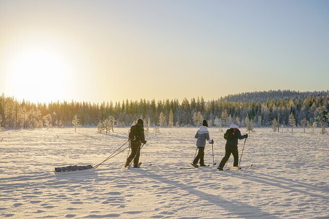 First Arctic Expedition on Altai Skis - The Experience in Detail