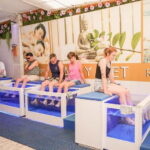 Fish Spa Experience Playa Fañabe - The Practical Side: Details You’ll Want to Know