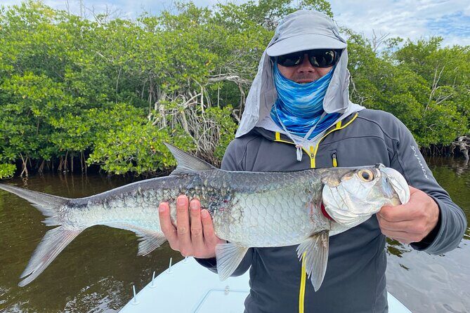 Fishing Adventure in Clearwater - In Summary: Who Is This Tour Perfect For?